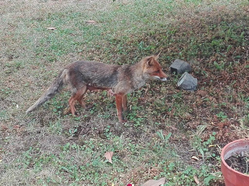 Appartamento Sezzate 40 Strada in Chianti Εξωτερικό φωτογραφία