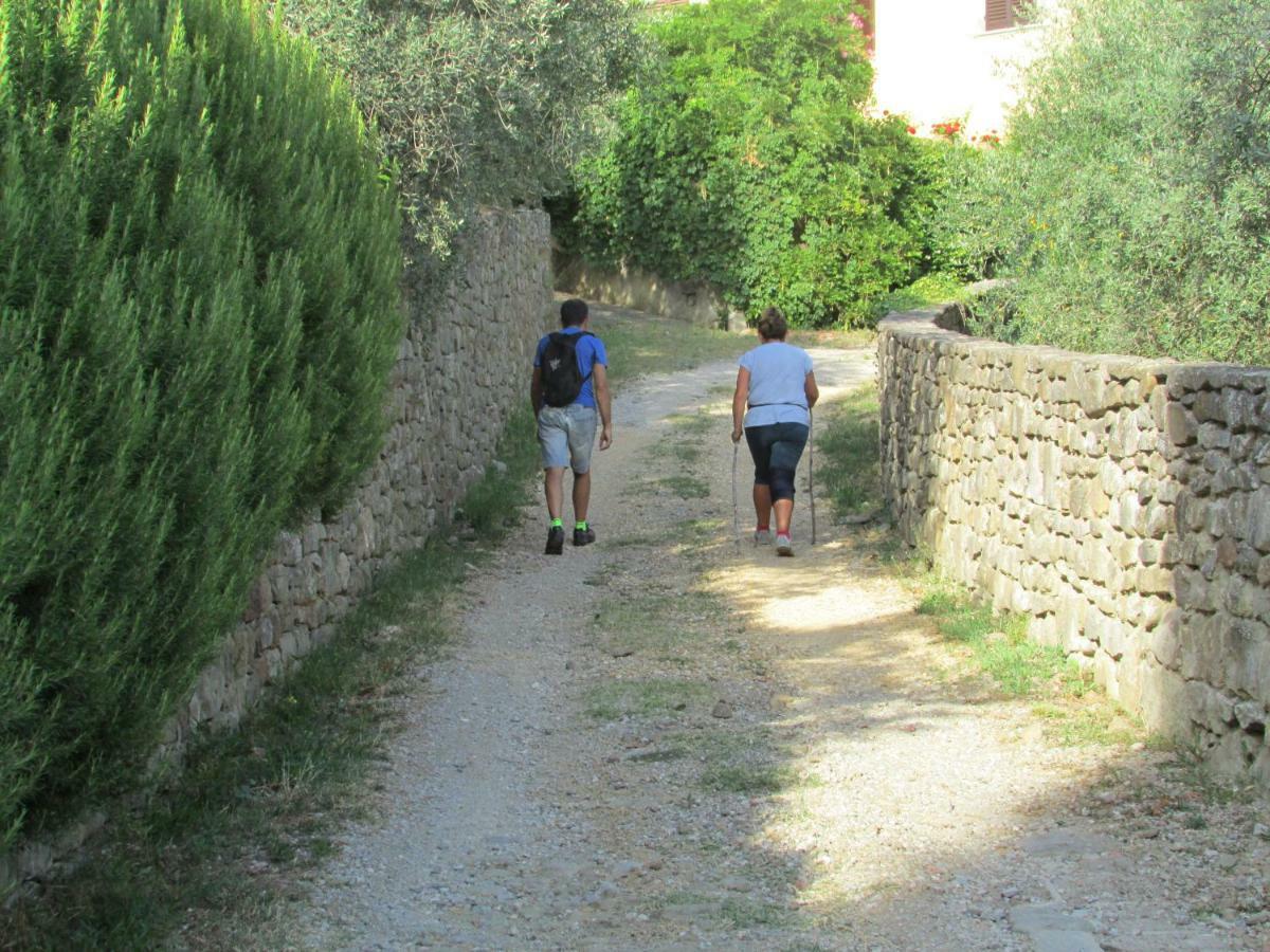 Appartamento Sezzate 40 Strada in Chianti Εξωτερικό φωτογραφία