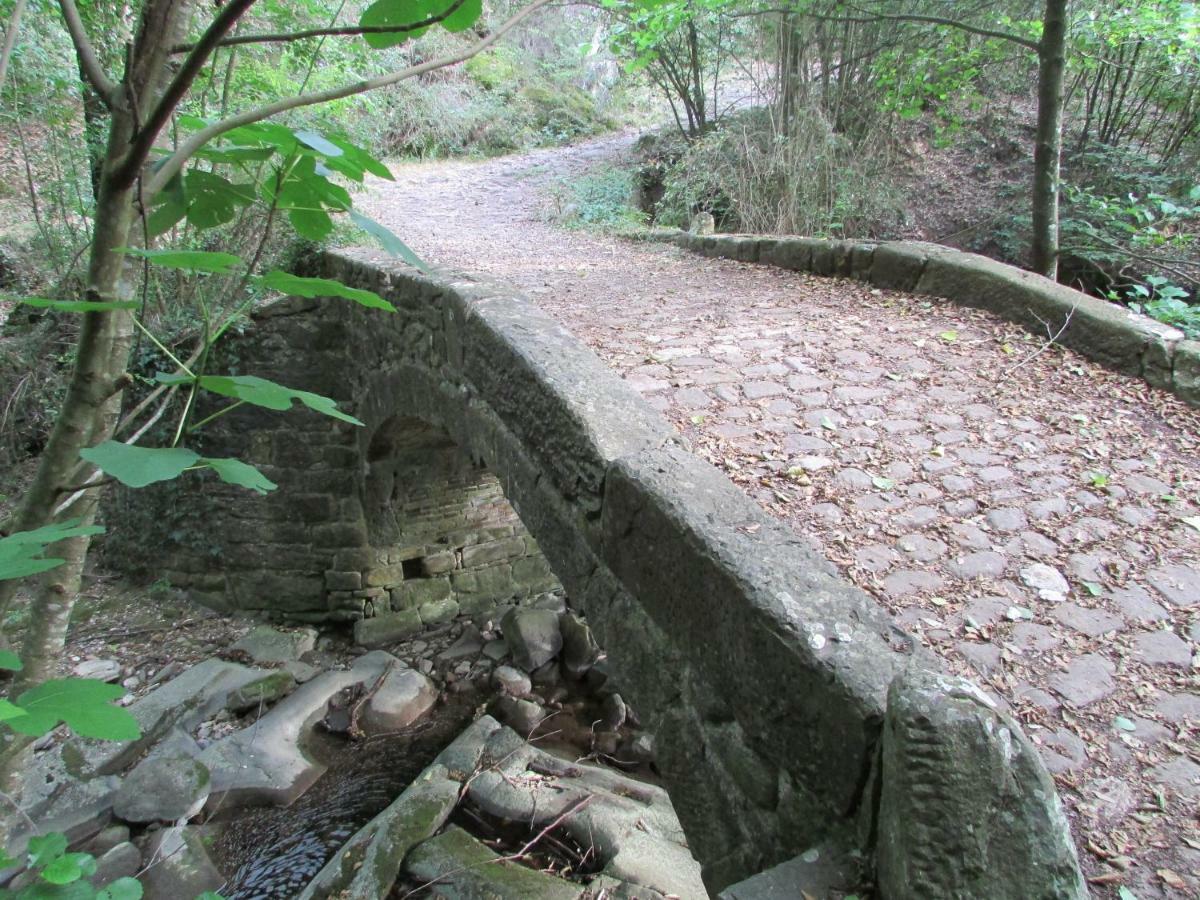 Appartamento Sezzate 40 Strada in Chianti Εξωτερικό φωτογραφία